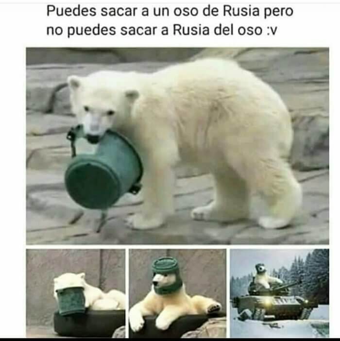 Puedes sacar un oso de Rusia