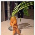 Cuando hasta una zanahoria tiene mas estilo
