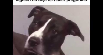 Cuando alguien no deja de hacer preguntas en la película