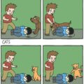 Perros vs gatos en peleas