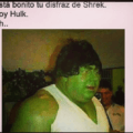 Que hermoso drisfraz de Shrek