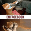 En casa vs Facebook