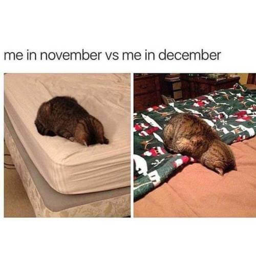 En noviembre vs Diciembre