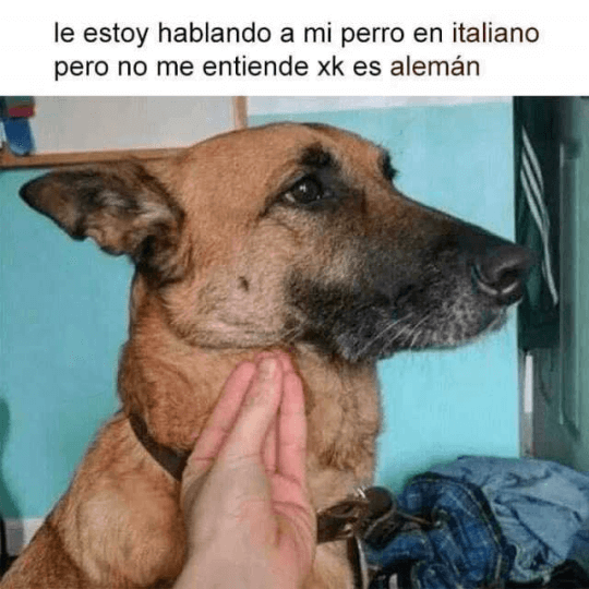 Le hablo a mi perro en italiano