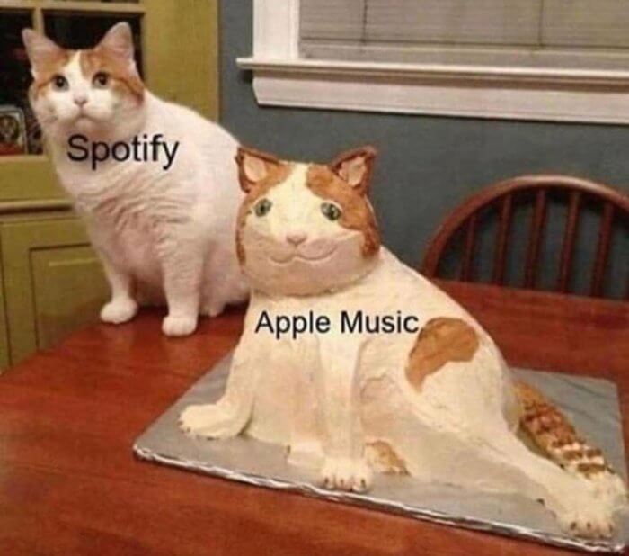 Spotify vs