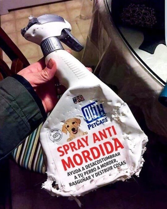 Spray anti mordidas